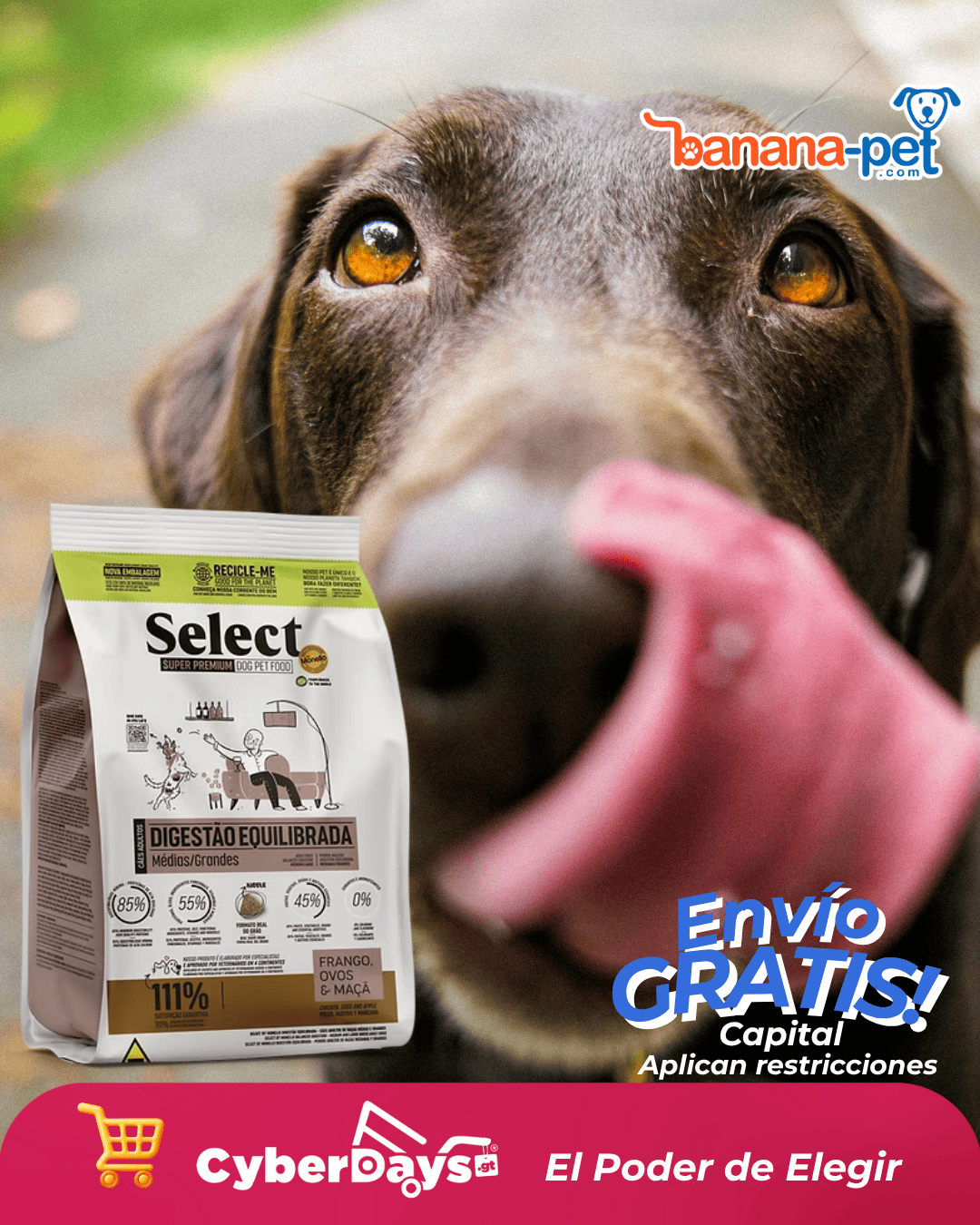 CyberDays 2025. Ofertas de Banana-pet