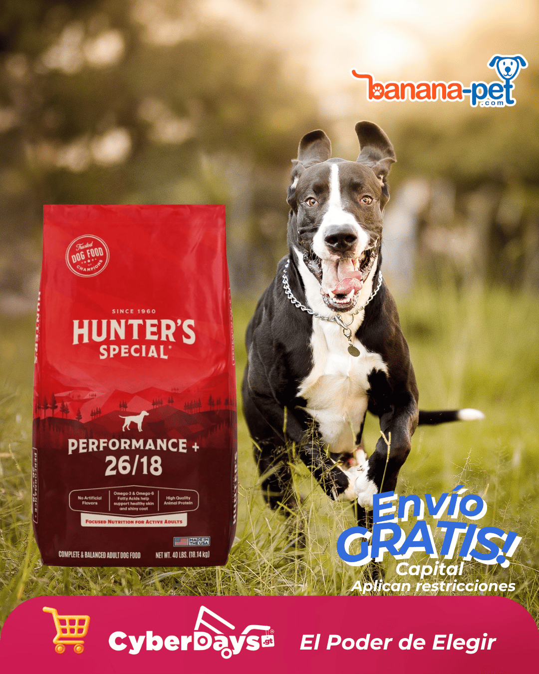 CyberDays 2025. Ofertas de Banana-pet