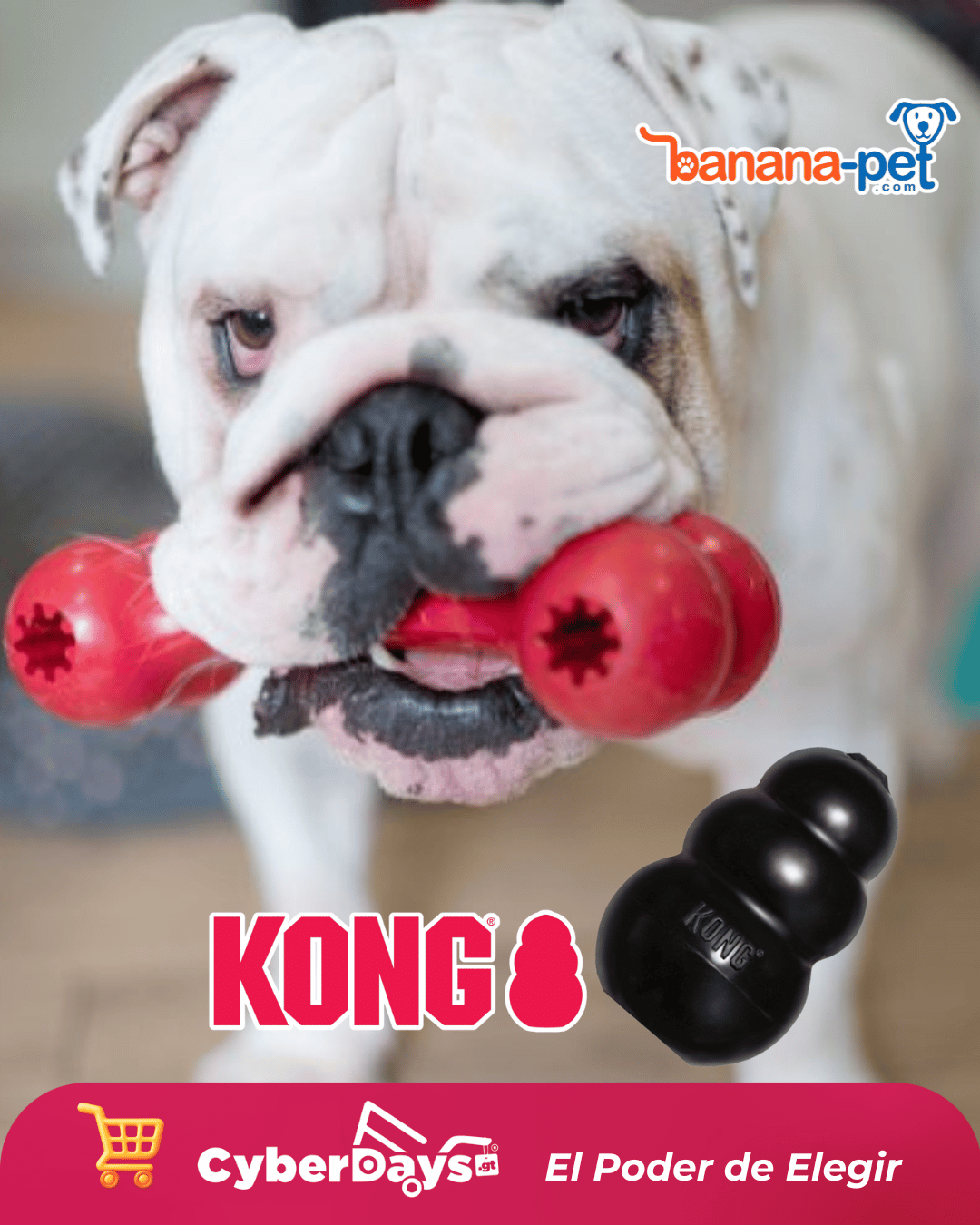 CyberDays 2025. Ofertas de Banana-pet
