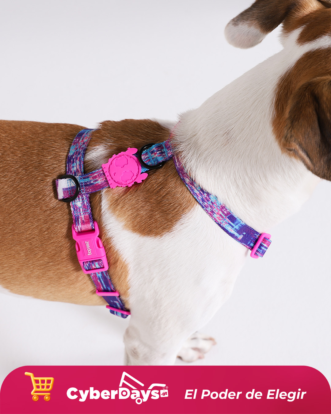 CyberDays 2025. Ofertas de Doghood Guatemala