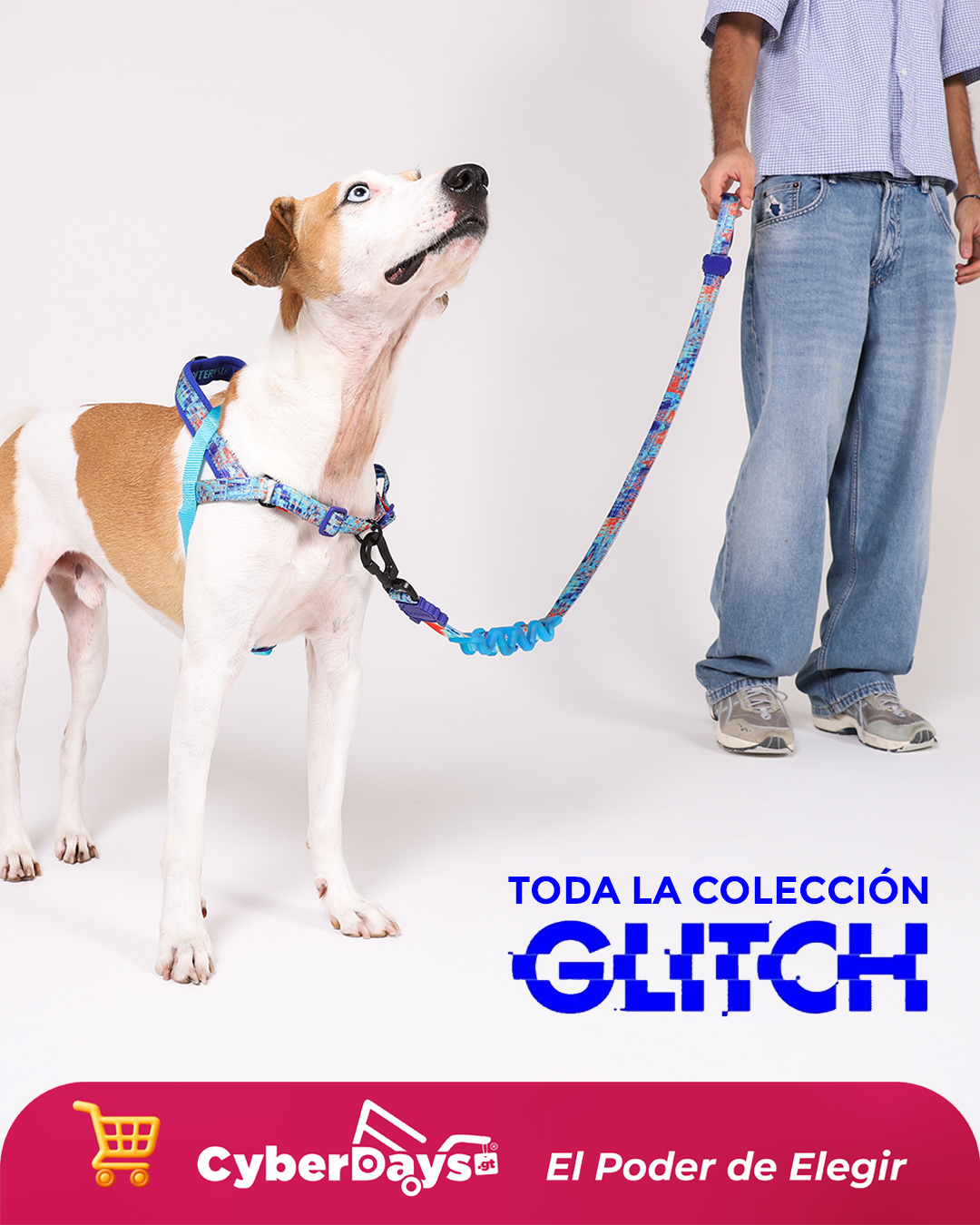 CyberDays 2025. Ofertas de Doghood Guatemala