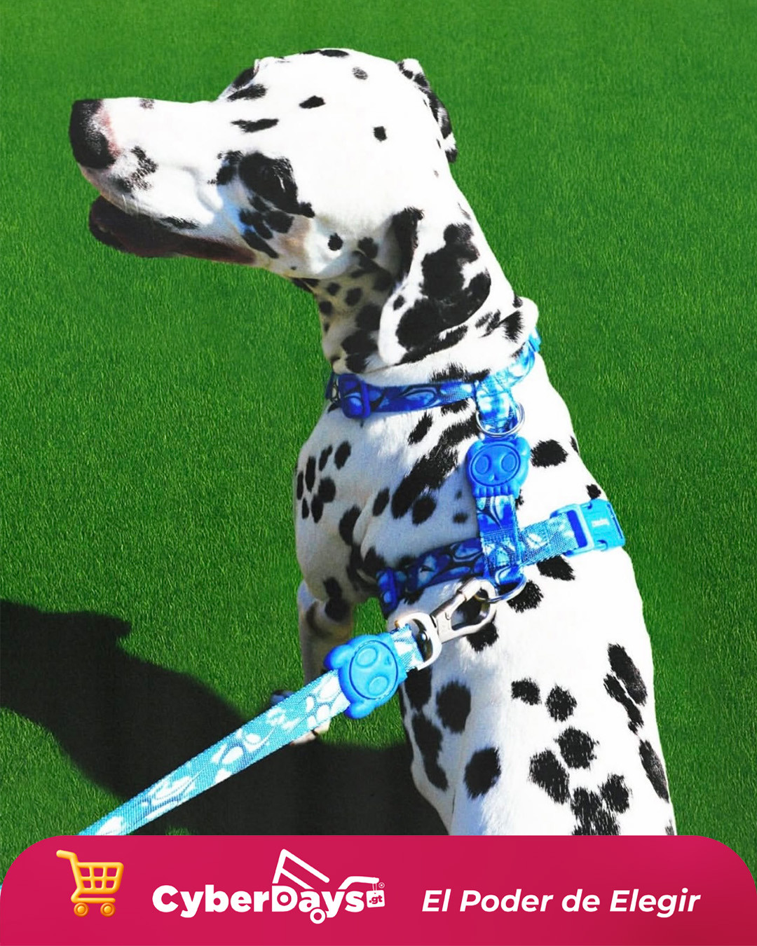 CyberDays 2025. Ofertas de Doghood Guatemala