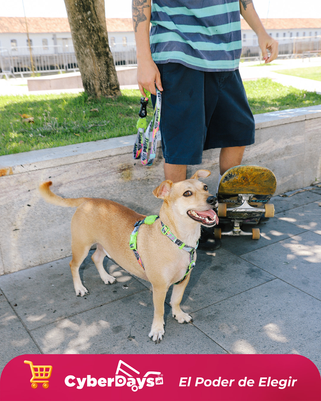 CyberDays 2025. Ofertas de Doghood Guatemala