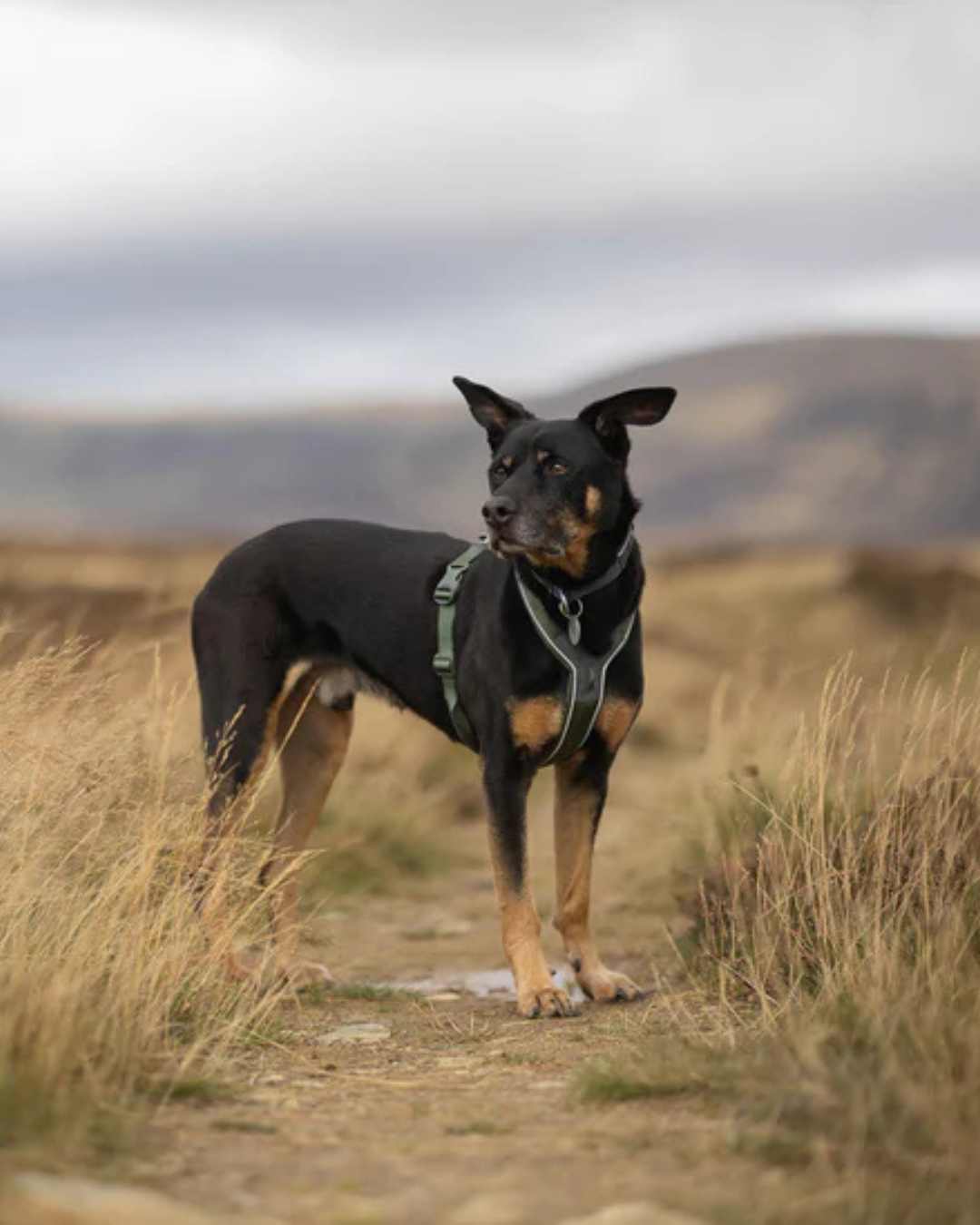 CyberDays 2025. Ofertas de elDooG