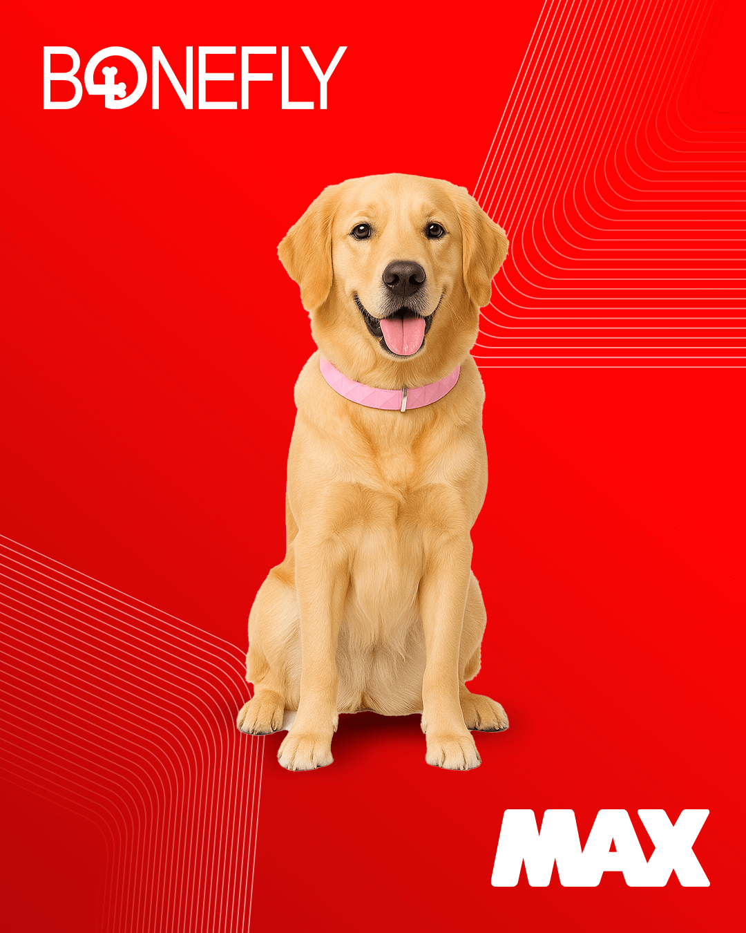 CyberDays 2025. Ofertas de Tiendas Max 