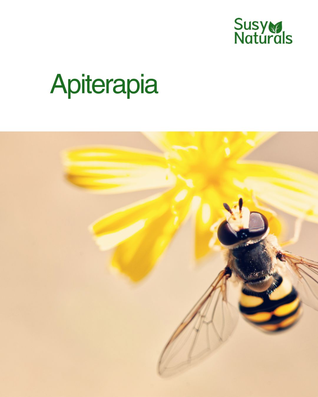 CyberDays 2025. Ofertas de Susy Naturals 