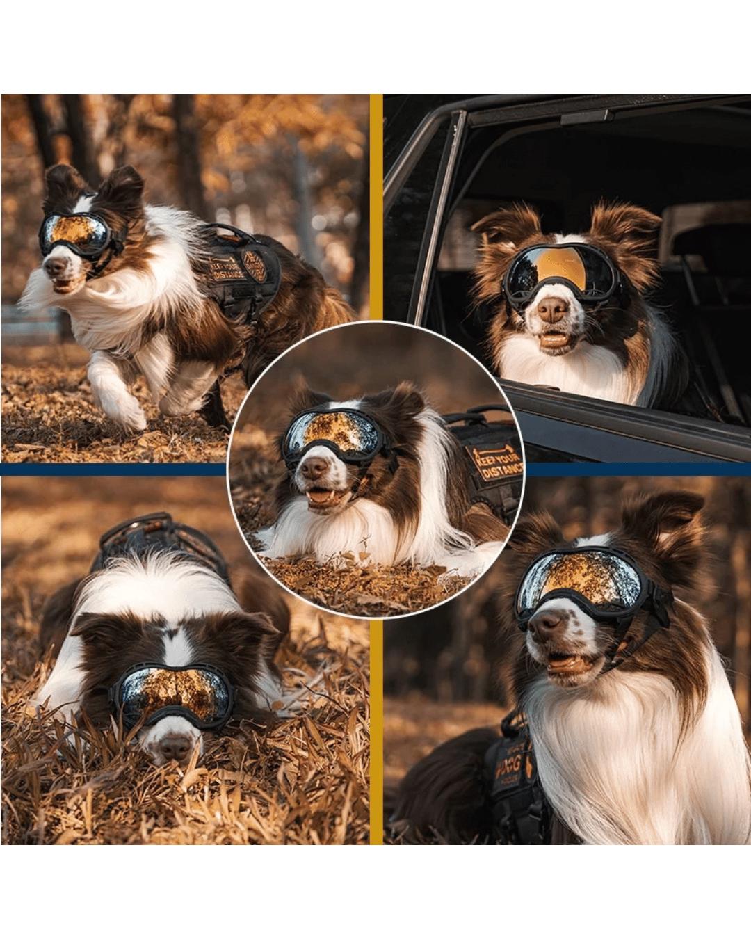 CyberDays 2026. Ofertas de EL DOOG