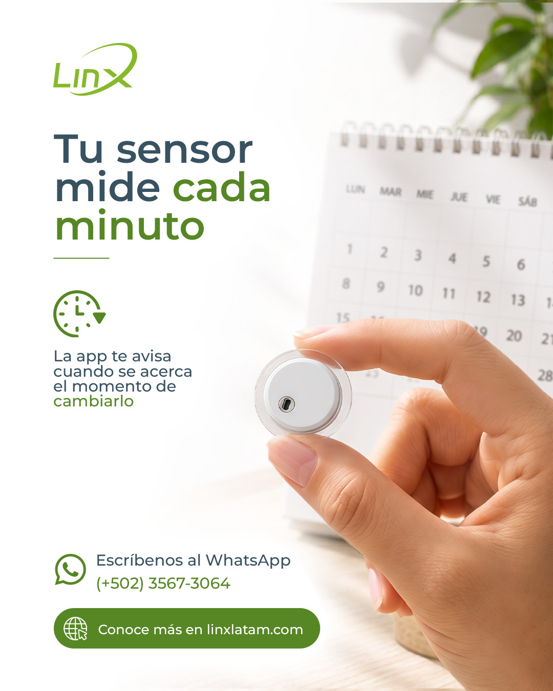 CyberDays 2026. Ofertas de Linx